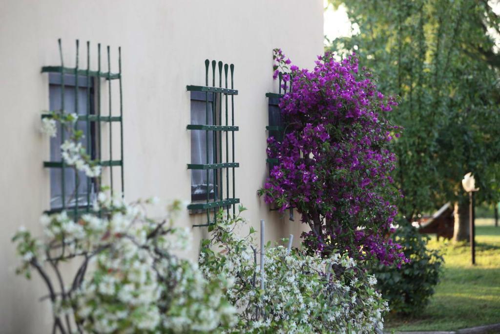 Agriturismo Le Pianore Montespertoli Exterior photo